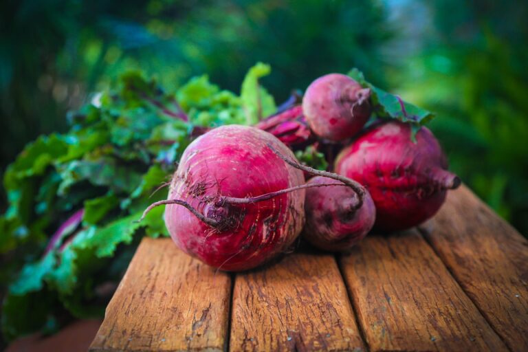 Dyeing with Beetroot - ALL NATURAL DYES